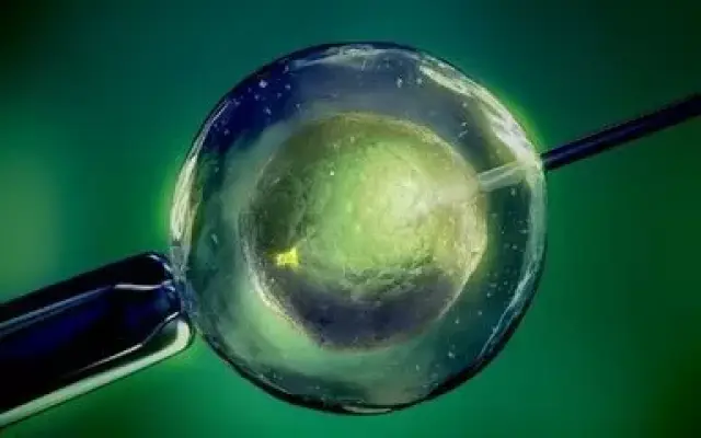 林教授